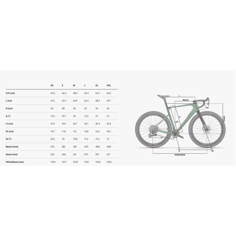 WILIER Bici in carbonio gravel WILIER RAVE SLR ID2 RIVAL E1 1X13 Miche GRAFF ALLROAD carbon