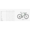 WILIER Bici in carbonio gravel WILIER RAVE SLR ID2 RIVAL E1 1X13 Miche GRAFF ALLROAD carbon