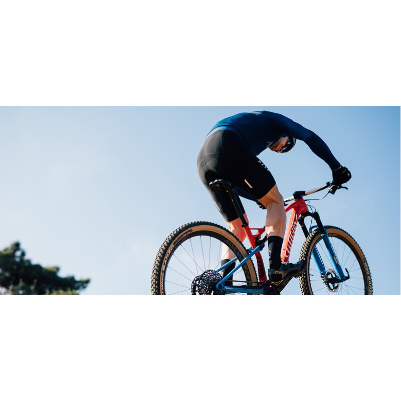 WILIER MTB carbonio Wilier URTA SLR 1x12  Miche 966 SID SL