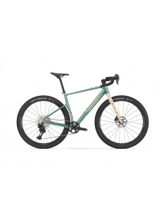 Bici in carbonio gravel...
