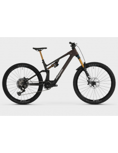 MTB e-bike biammortizzata...