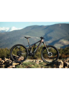 MTB e-bike biammortizzata... 2