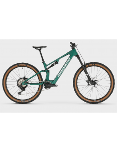 MTB e-bike biammortizzata...