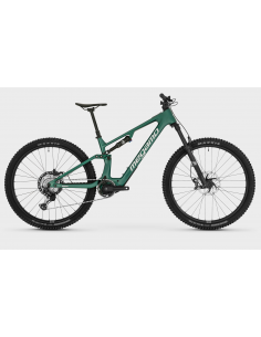 MTB e-bike biammortizzata...
