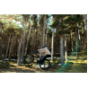 Megamo MTB e-bike biammortizzata MEGAMO REASON CRB 05 carbon DJI Avinox M2S 2027 PRONTA CONSEGNA