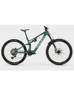 MTB e-bike biammortizzata...