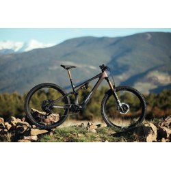 MTB e-bike biammortizzata...