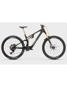 MTB e-bike biammortizzata...