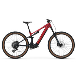 MTB e-bike biammortizzata...