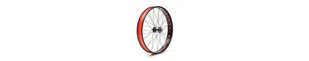 Vendita online ruote per fat bike