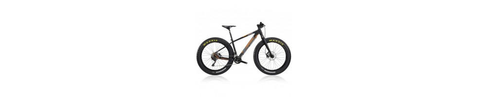 Vendita MTB Fat Bike online al miglior prezzo