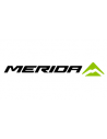 Merida